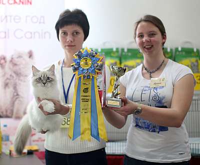   11-12  2015 WCF- 6-68-169A4691 copy.jpg